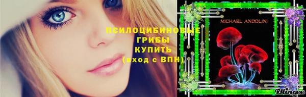 прущая мука Абаза