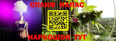 спайс Кулебаки