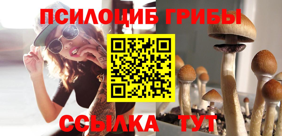 Галлюциногенные грибы MAGIC MUSHROOMS  Вход с VPN  Лиски 